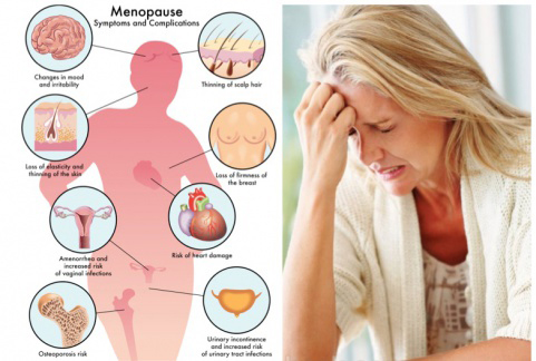 Intrauterine insemination in Andhra Pradesh,iui treatments in Andhra Pradesh,Intrauterine insemination treatments in Andhra Pradesh,Best Fertility Hospital In Andhra Pradesh,Best IVF Doctors In Andhra Pradesh,Best IVF centers In Andhra Pradesh,In Vitro Fertilization treatments in Andhra Pradesh,ivf treatments in Andhra Pradesh,ivf treatment in Andhra Pradesh,fertilization hospitals in Andhra Pradesh,In Vitro Fertilization, IVF Treatment in Andhra Pradesh,Best Infertility centers in Andhra Pradesh,Best Center for Human Reproduction,IVF and Reproductive Medicine,Fertility and Reproductive Medicine,ICSI and IVF for Male Infertility hospitals in Andhra Pradesh,Intracytoplasmic sperm injection treatments in Andhra Pradesh,ICSI Infertility Treatment in Andhra Pradesh,ICSI Treatment centers in Andhra Pradesh,gynaecology hospitals in Andhra Pradesh,gynaecology specialists in Andhra Pradesh,best gynaecology hospitals in Andhra Pradesh,obstetrics and gynaecology hospitals in Andhra Pradesh,Best obstetrics and gynaecology doctors in Andhra Pradesh,Vaginal Infections specialist in Andhra Pradesh,Pelvic Masses or Pelvic Tumor Treatment in Andhra Pradesh,gynaecology treatments in Andhra Pradesh,gynaecologist doctors in Andhra Pradesh,best Gynaecologist in Andhra Pradesh,Uterine Bleeding treatments in Andhra Pradesh,Best obstetric specialist in Andhra Pradesh,High pregnancy risk specialists in Andhra Pradesh,Polycystic Ovarian Disease treatments in Andhra Pradesh,Prenatal and Antepartum Care in Andhra Pradesh,Best Gynaecology Cesarean in Andhra Pradesh,Care for Pregnancy on Diabetes in Andhra Pradesh,Hypertension, pre-eclampsia and eclampsia treatments in Andhra Pradesh,Premature Rupture treatments in Andhra Pradesh,Post-term pregnancy care in Andhra Pradesh